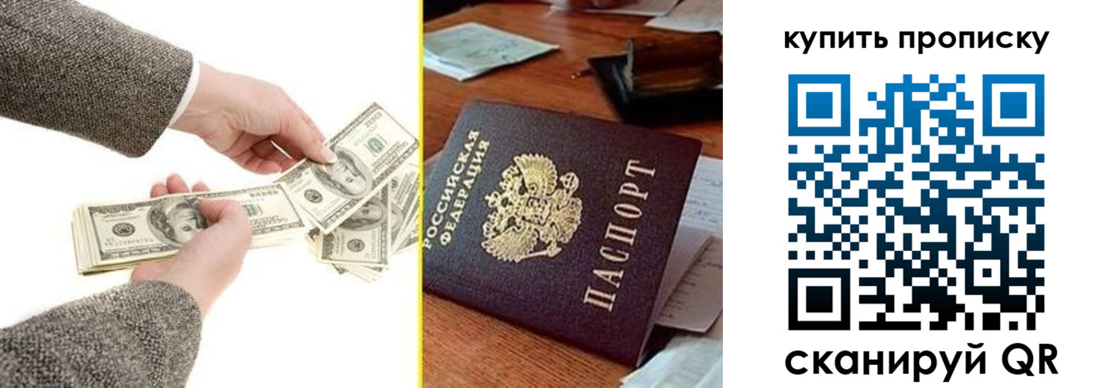 временная регистрация собственник в Долгопрудном